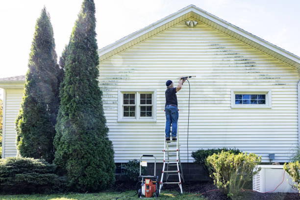 Professional Pressure Washing in Fort Deposit, AL