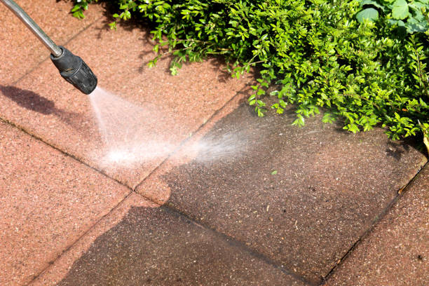 Deck Cleaning Services in Fort Deposit, AL